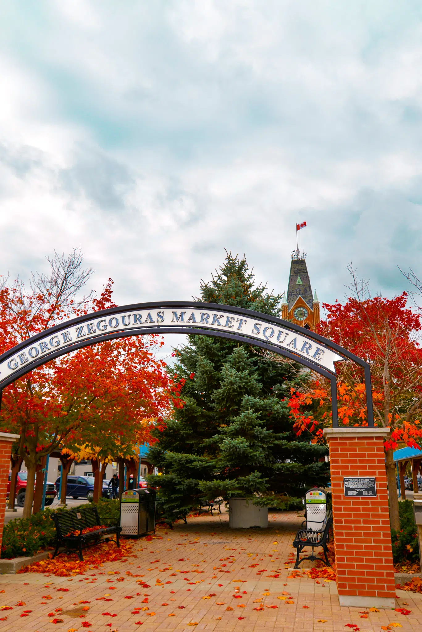 City of Belleville seeking donations of spruce trees for holiday displays