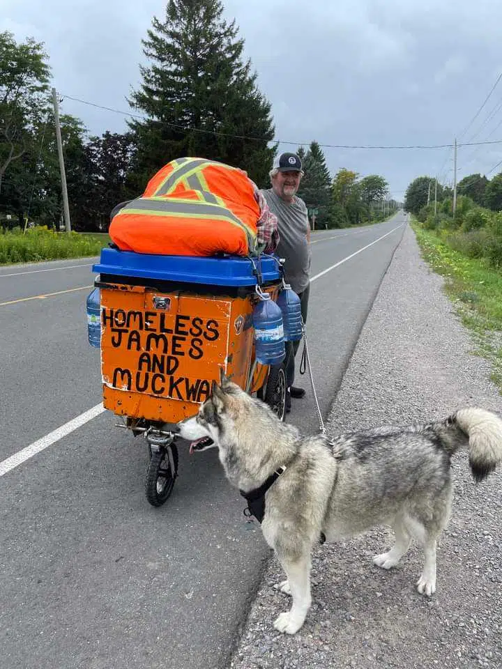 Walking with Muck moving through Quinte region