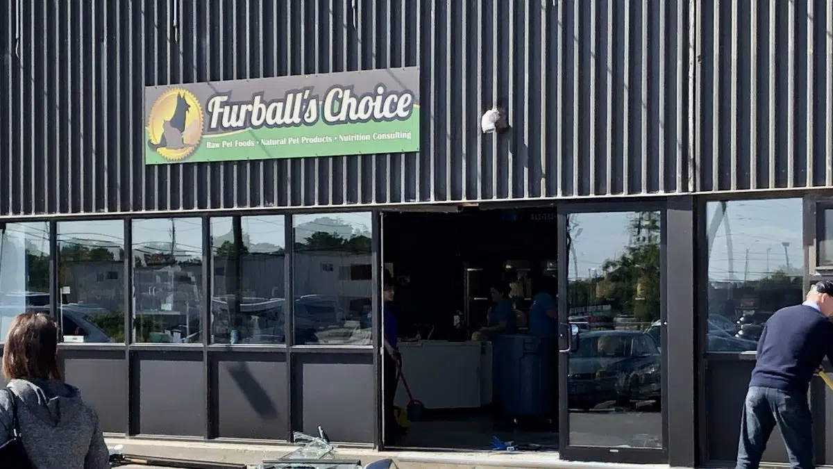 Furballs choice shop raw