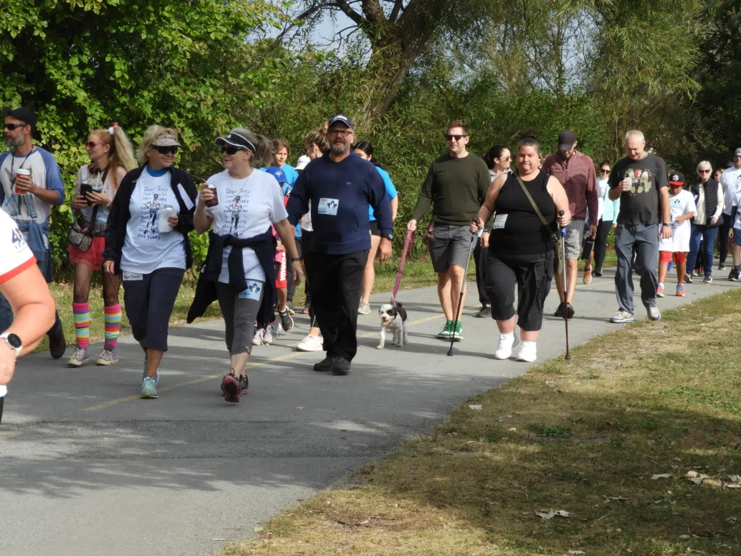 Run or walk to help cure cancer