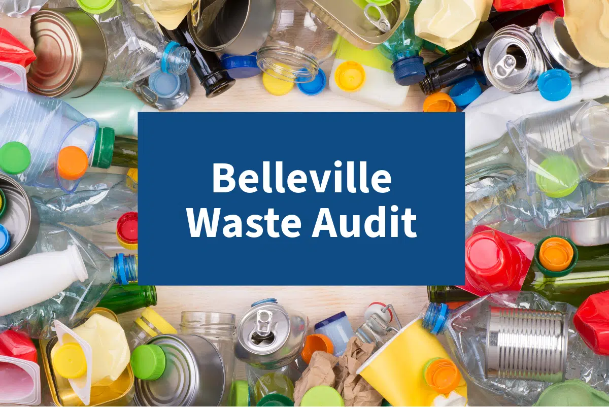 Waste audit will make programs more efficient