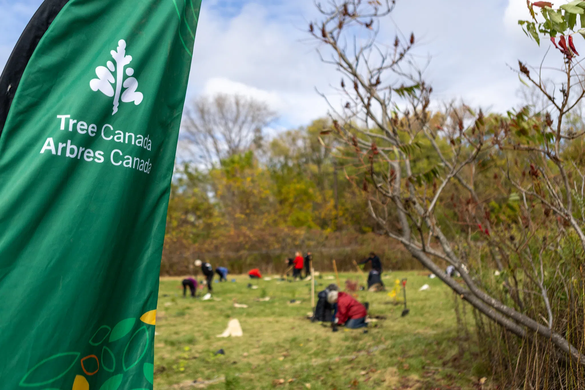 Tree planting success for Quinte Field Naturalists