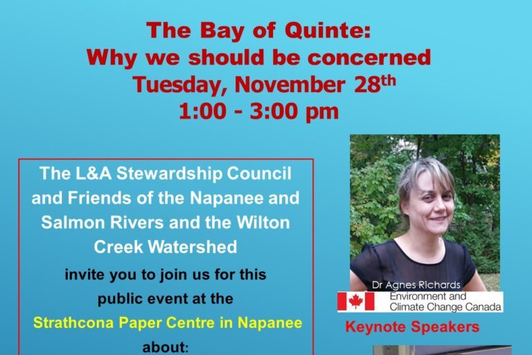 Presentation on the state of the Bay of Quinte Tuesday in Napanee - Vimarsana News
