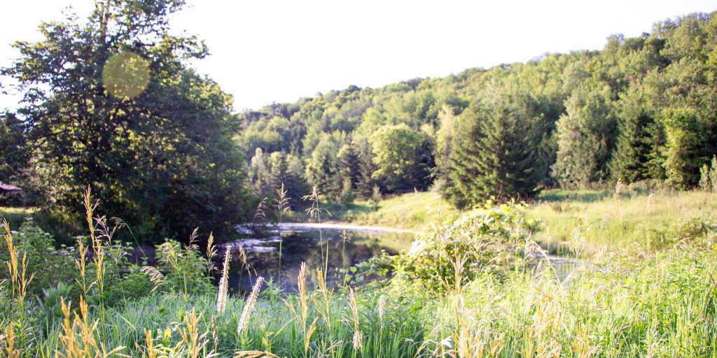 Big plans for Macaulay Mountain - Vimarsana News
