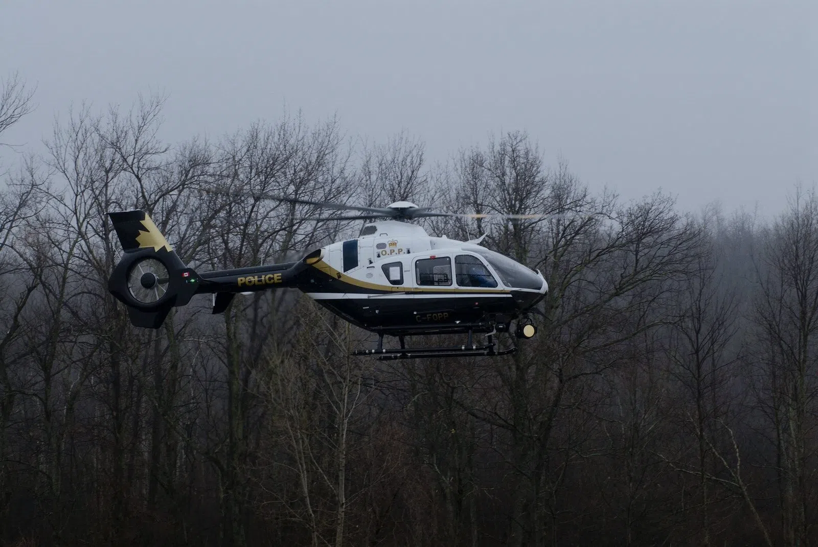 OPP helicopter locates missing 84-year-old man