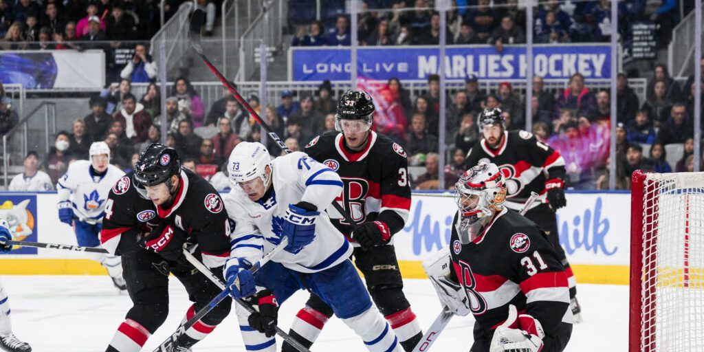 Senators defeat Marlies - Vimarsana News