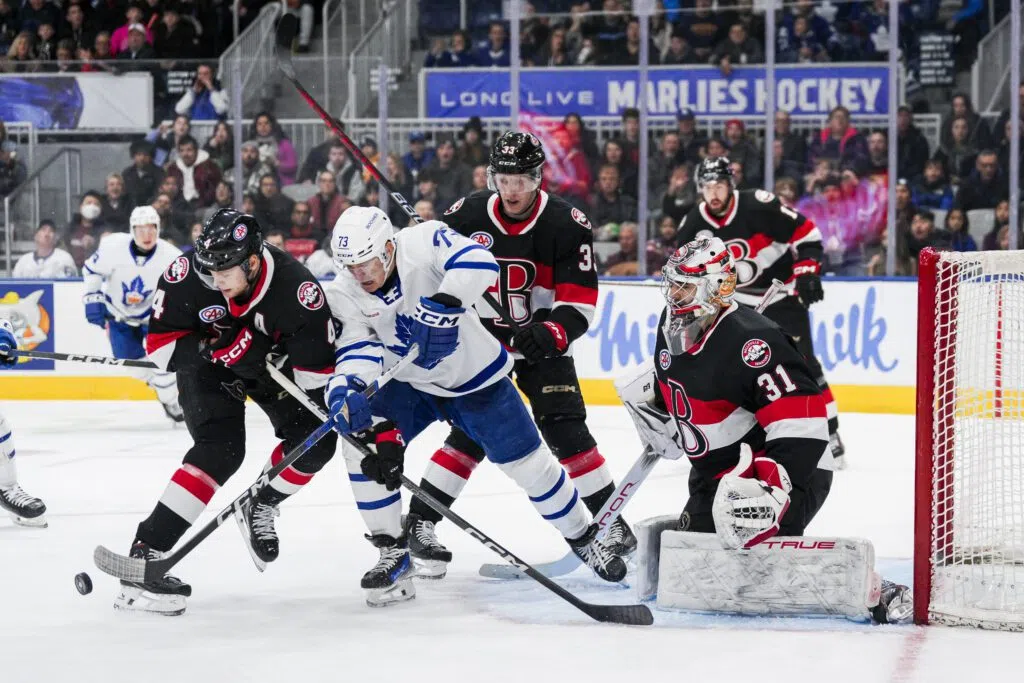 Senators defeat Marlies