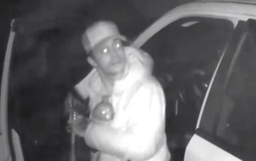 Belleville Police looking for help to identify suspect