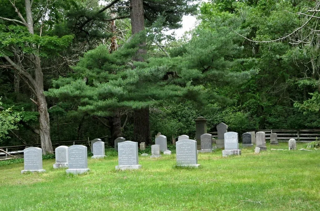 County residents may soon be buried with pets