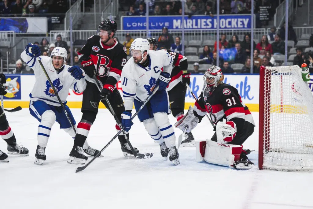 Toronto dismantles Belleville Sens