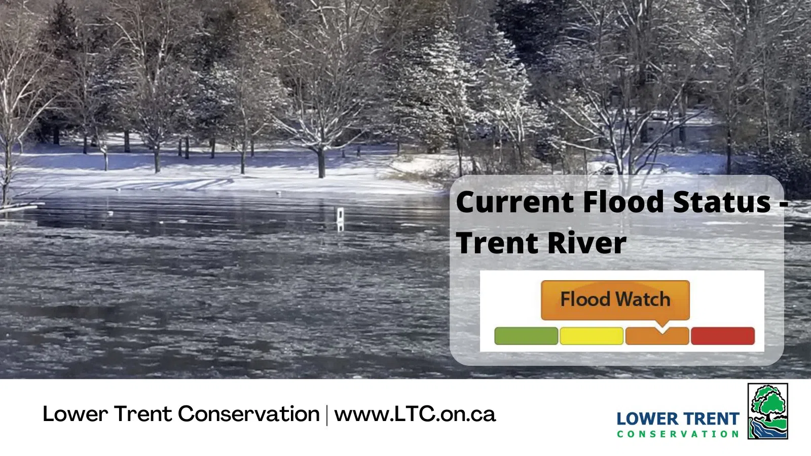 Lower Trent Conservation issues Flood Watch Statement for Trent River