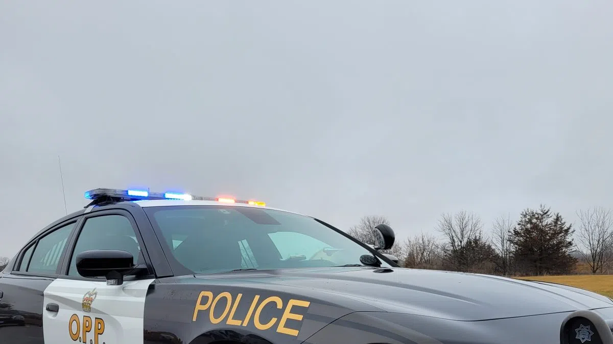 Drug bust in Quinte West