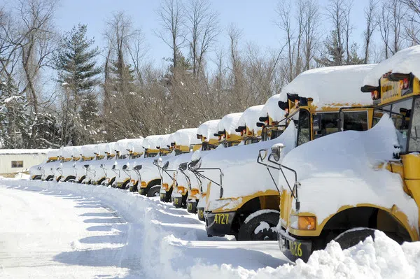 Storm on the way, school buses cancelled