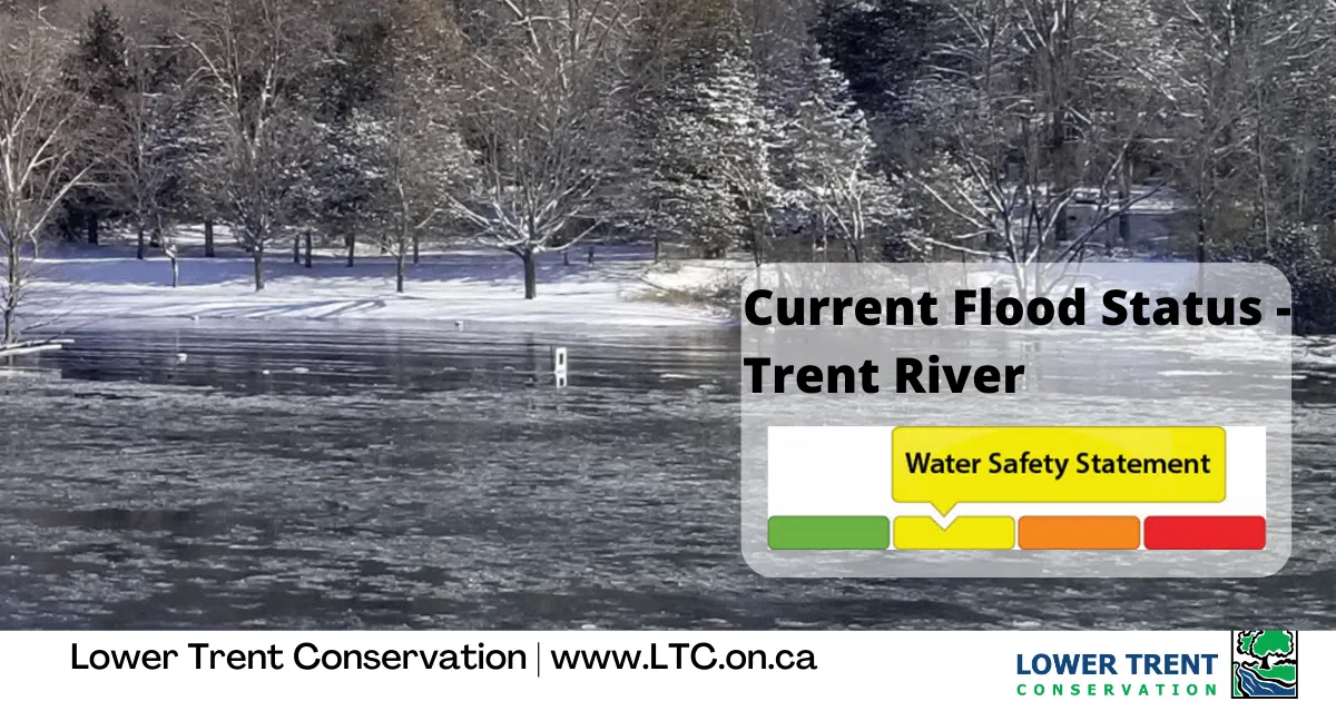 Water Safety Statement from Lower Trent Conservation