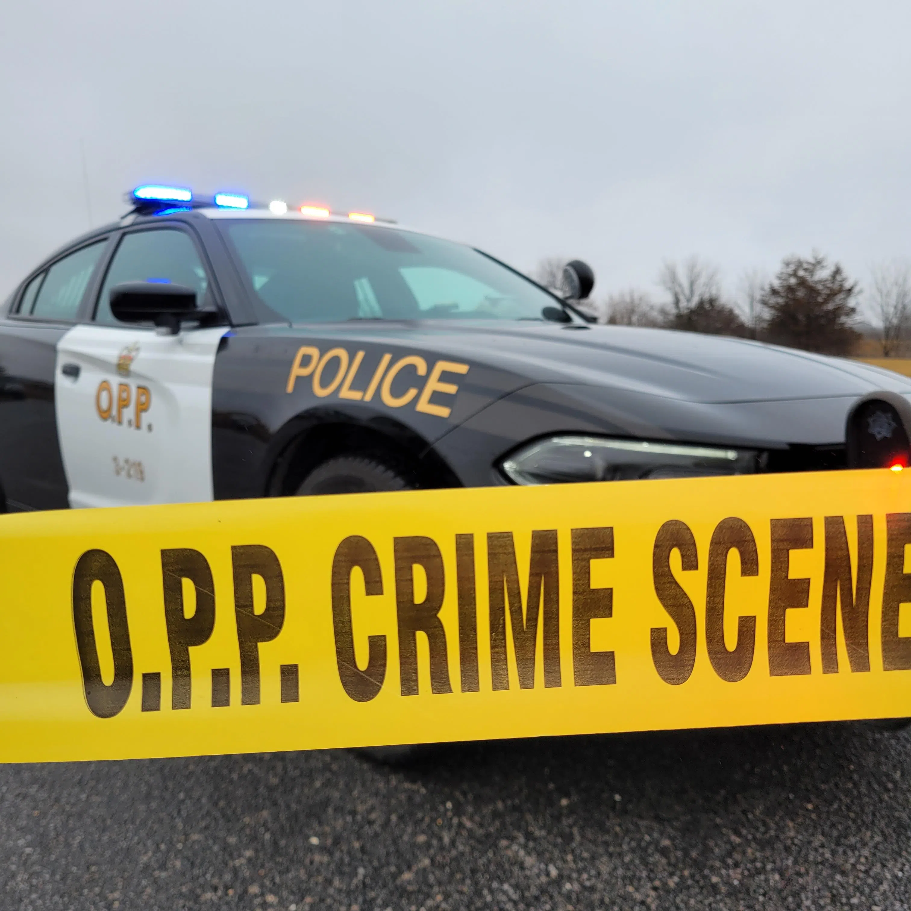 OPP recovers stolen vehicle from Salmon River