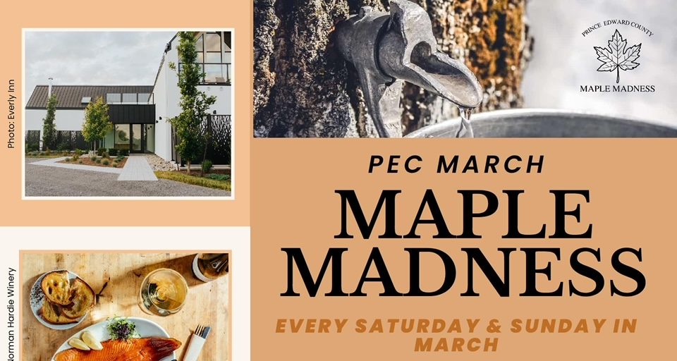 March Maple Madness event supports new hospital - Vimarsana News