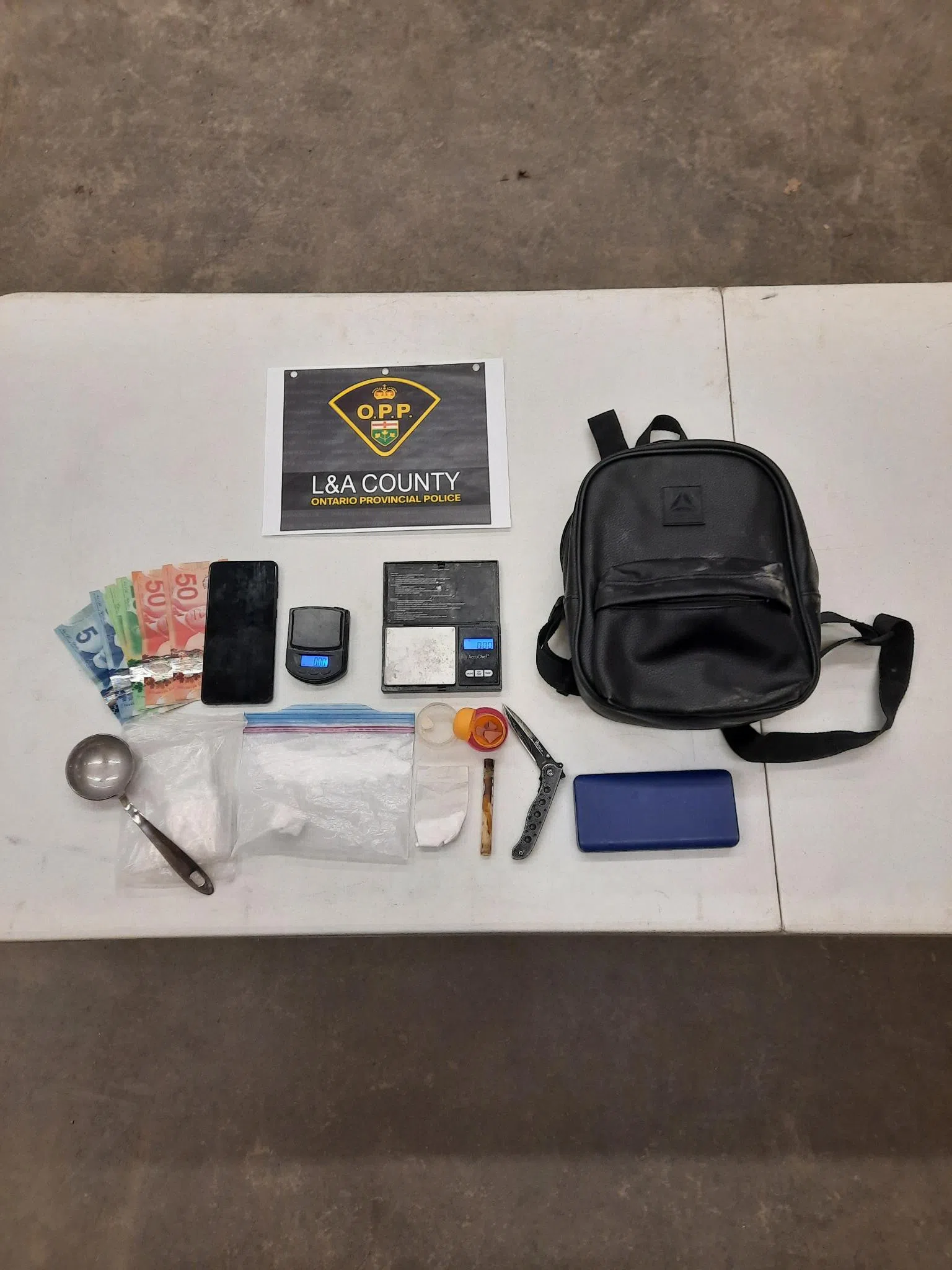 Drug trafficking arrest in Napanee