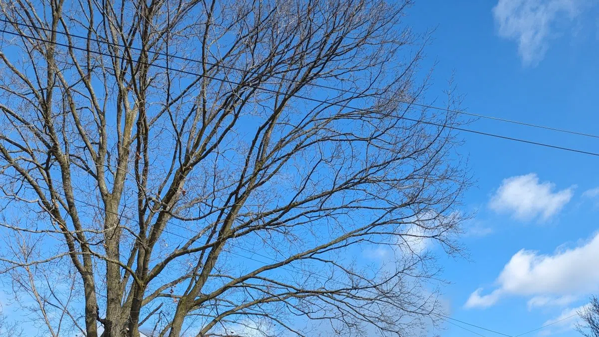 Fire starts on stove, causes 200K damage Quinte News