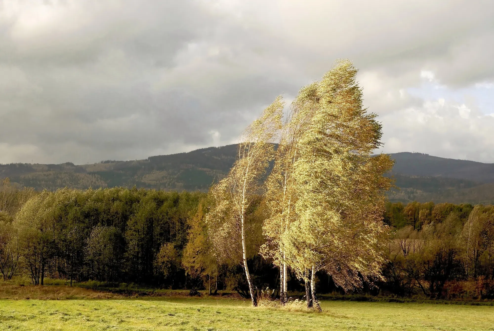 Windy night expected