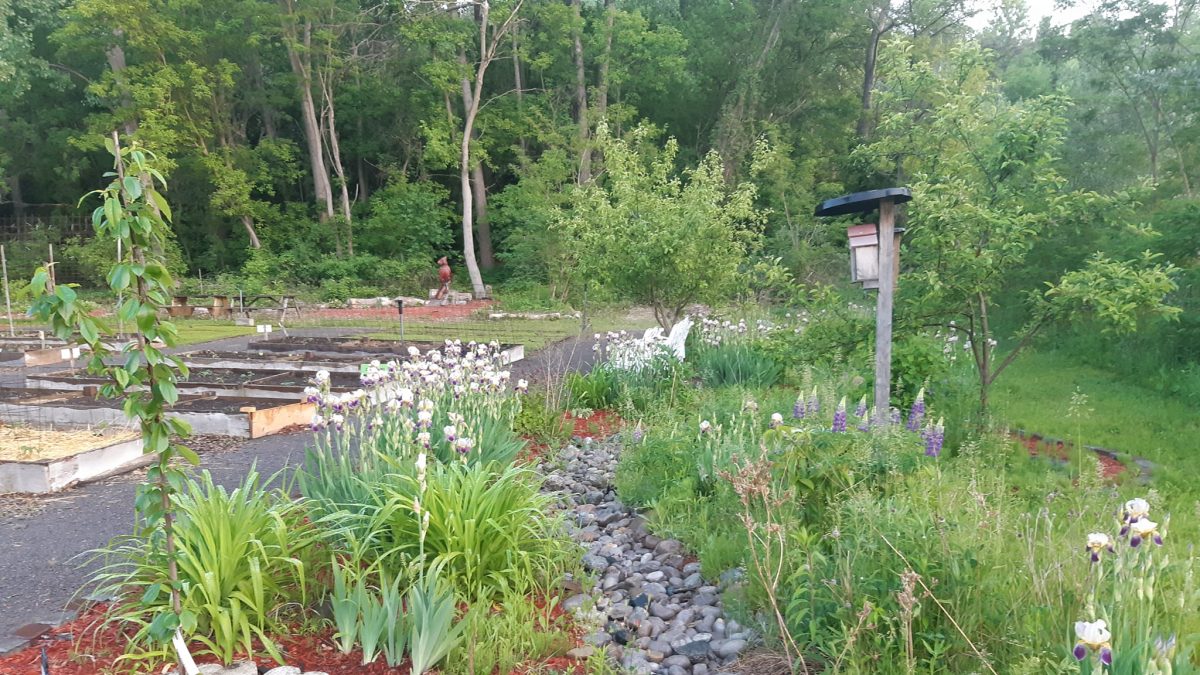 Quinte West Gardens shown to council - Vimarsana News