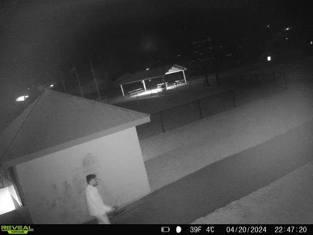 Vandal at Field of Ability caught on CCTV