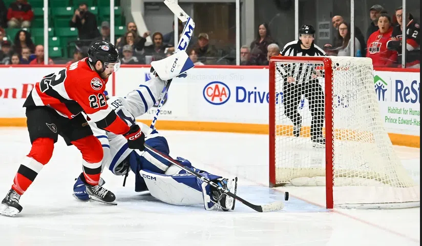 B-Sens oust the Marlies to move on in Calder Cup playoffs