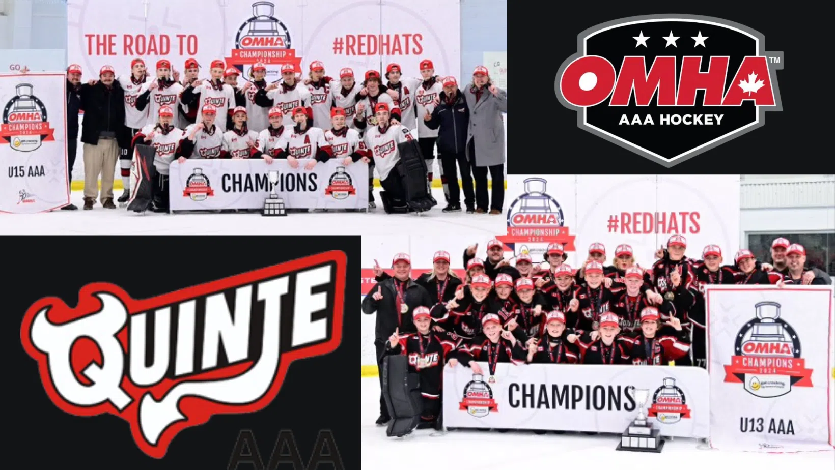 2 Red Devils teams win OMHA titles