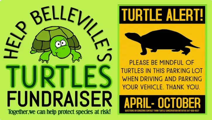 Update: Turtle fundraising goal reached
