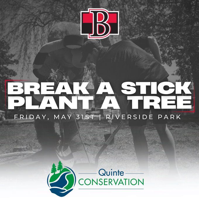 B-Sens break sticks, plant trees - Vimarsana News