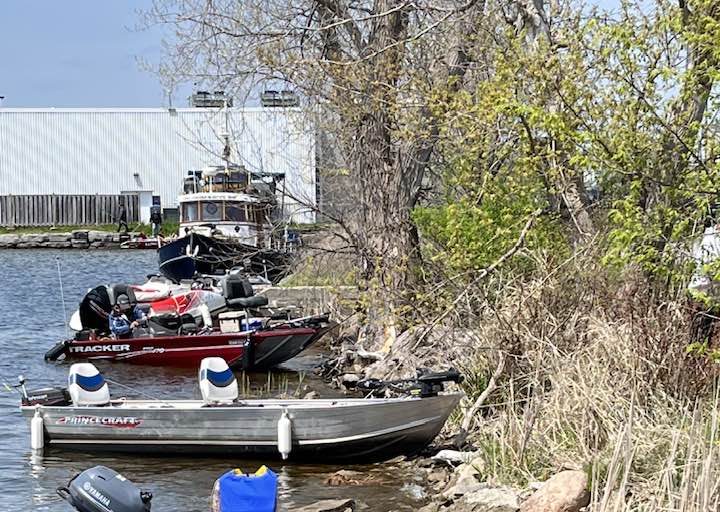 Fishing, fun and prizes - Vimarsana News