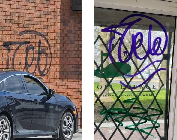 Suspects wanted in Belleville graffiti splurge
