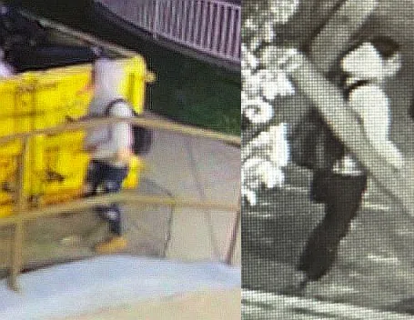 Belleville Police looking to identify suspect in dumpster fire investigation