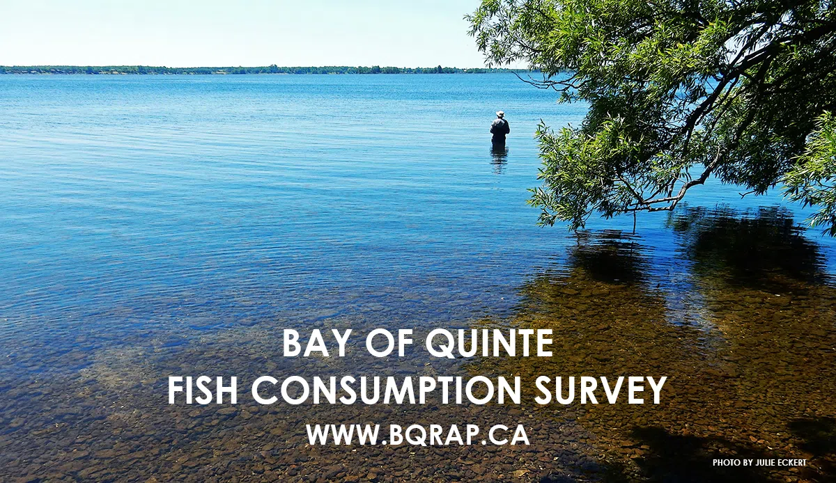 Bay of Quinte Remedial Action Plan conducting survey on fish consumption