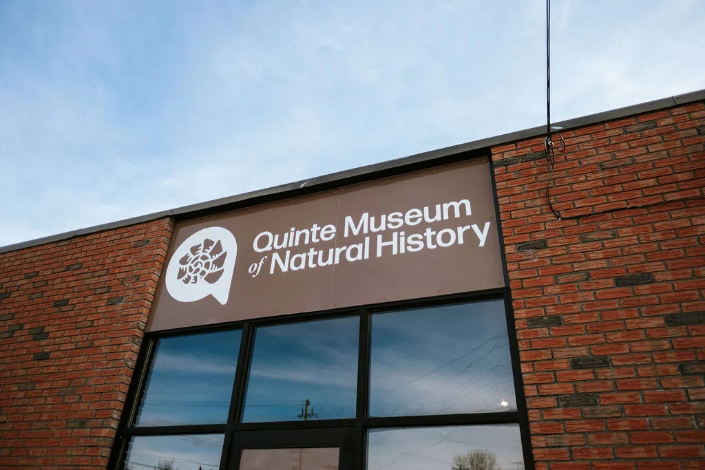 Quinte Museum of Natural History asks for funding from Natural History Reserve Fund; explore annual municipal contribution beginning 2027