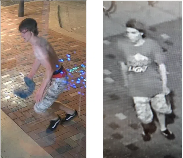 Suspect wanted after vandalism spree