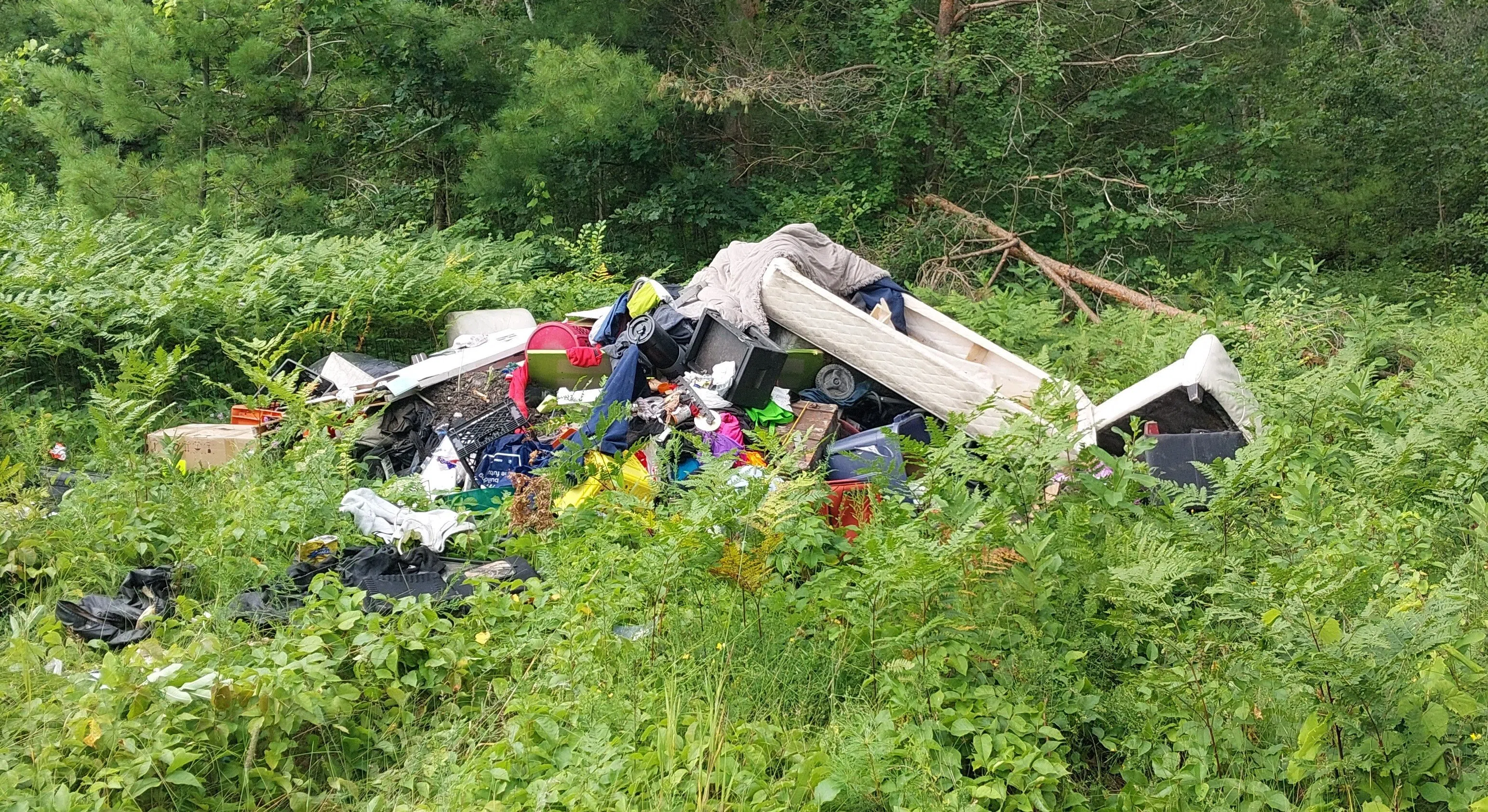 If you dump garbage illegally, you will be charged: OPP