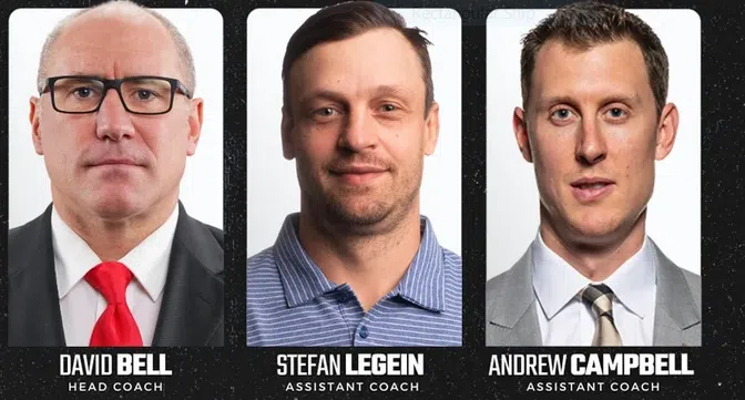 B-Sens add players and coaches
