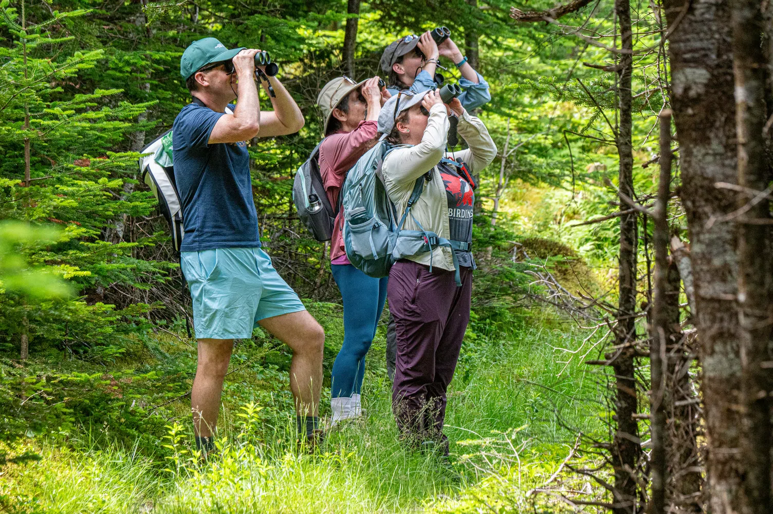 Join the long weekend Big Backyard BioBlitz