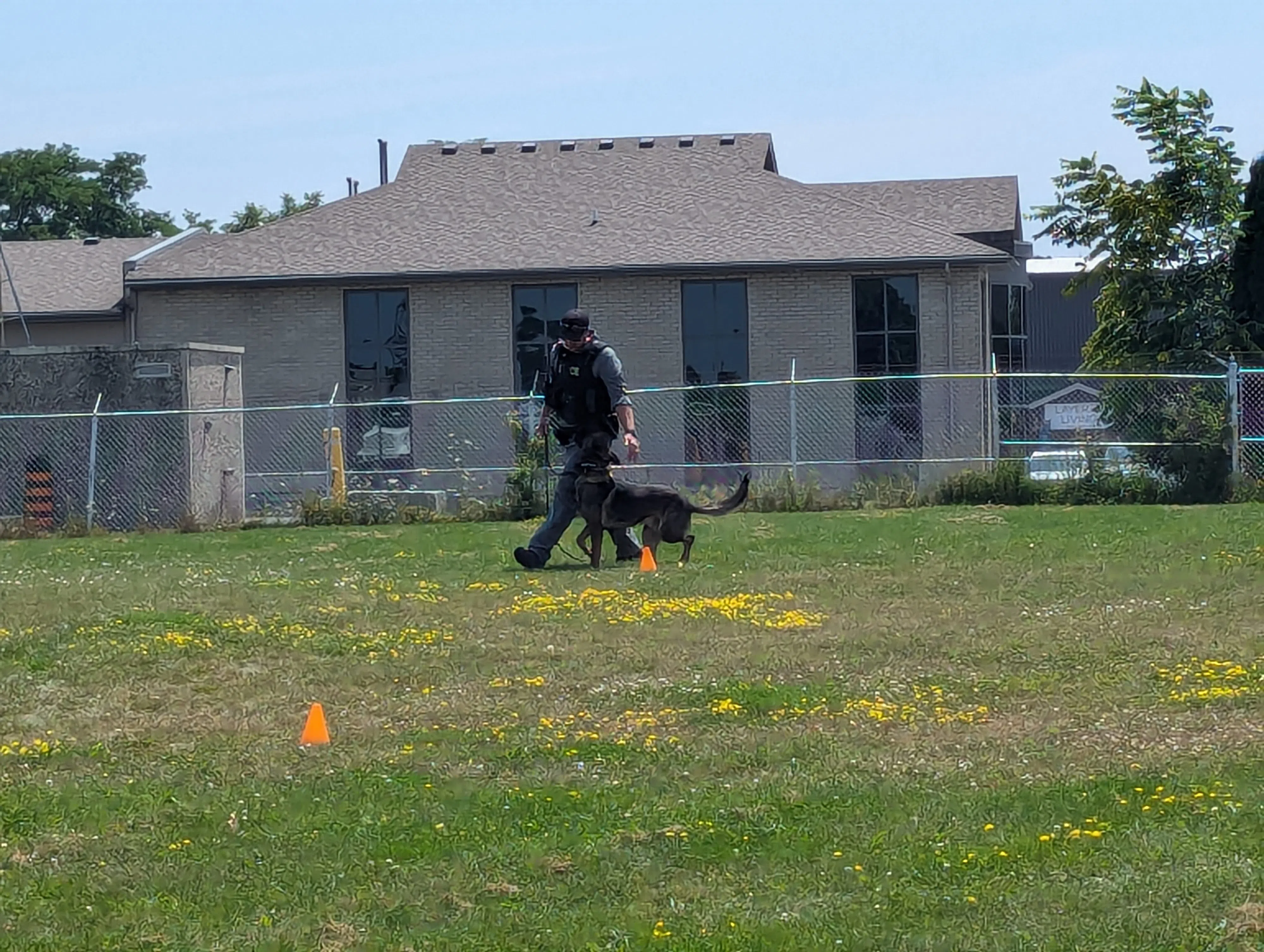 Belleville Police's second canine unit introduced