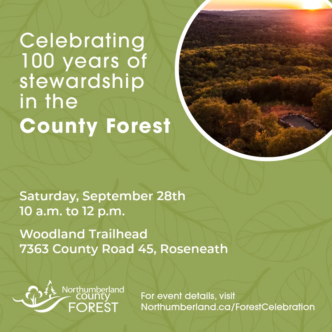 Celebrating 100 years of restoration of the Northumberland County Forest