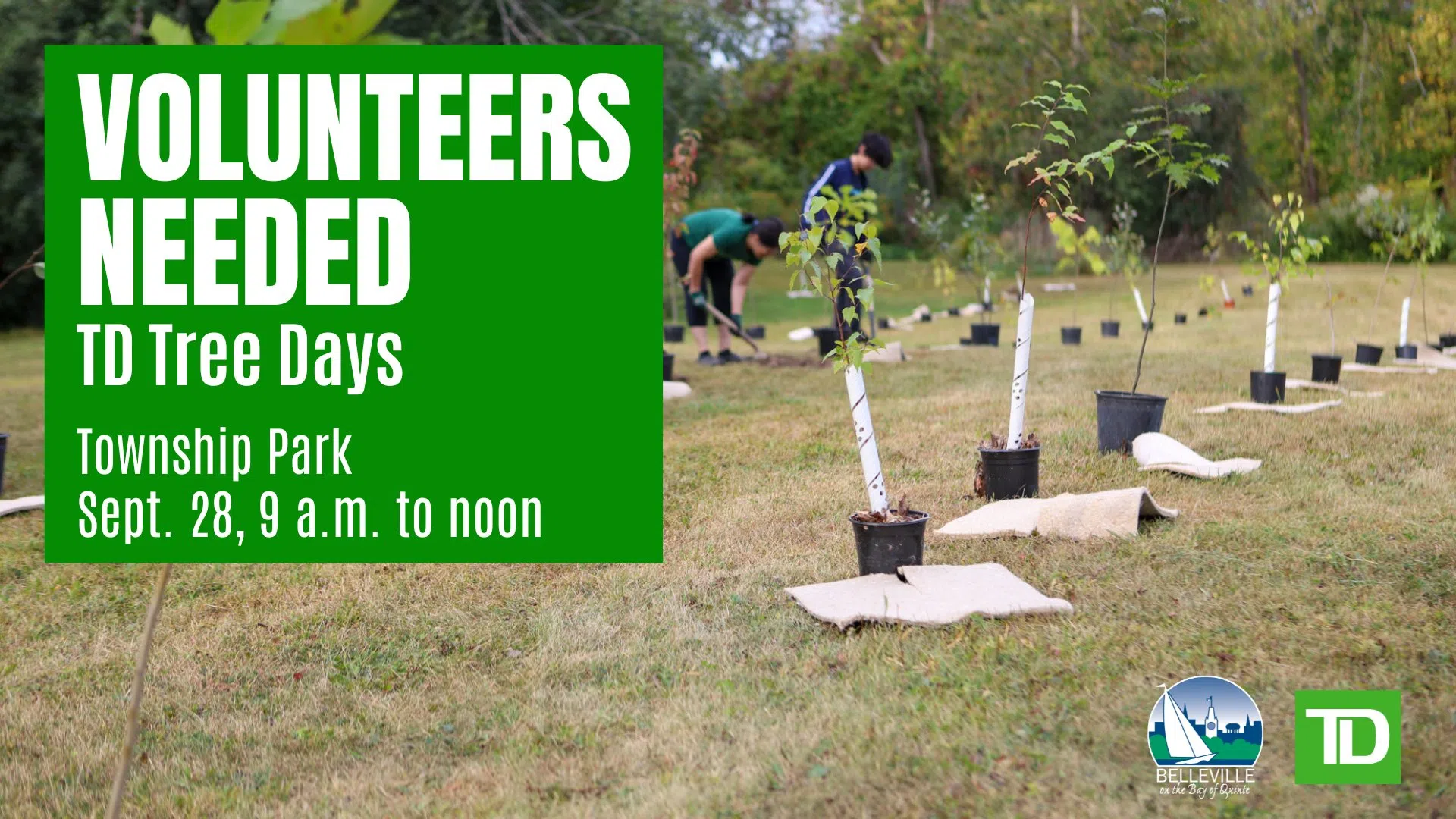 Tree planting volunteers wanted