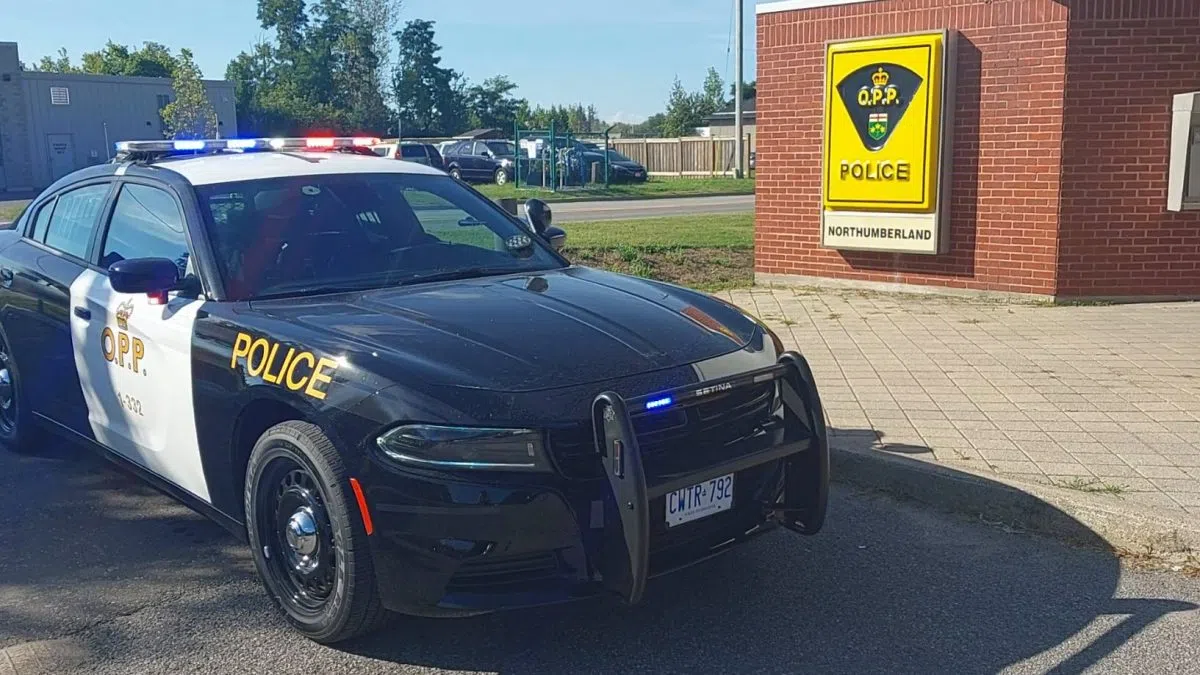 Brighton teen charged with assault Quinte News