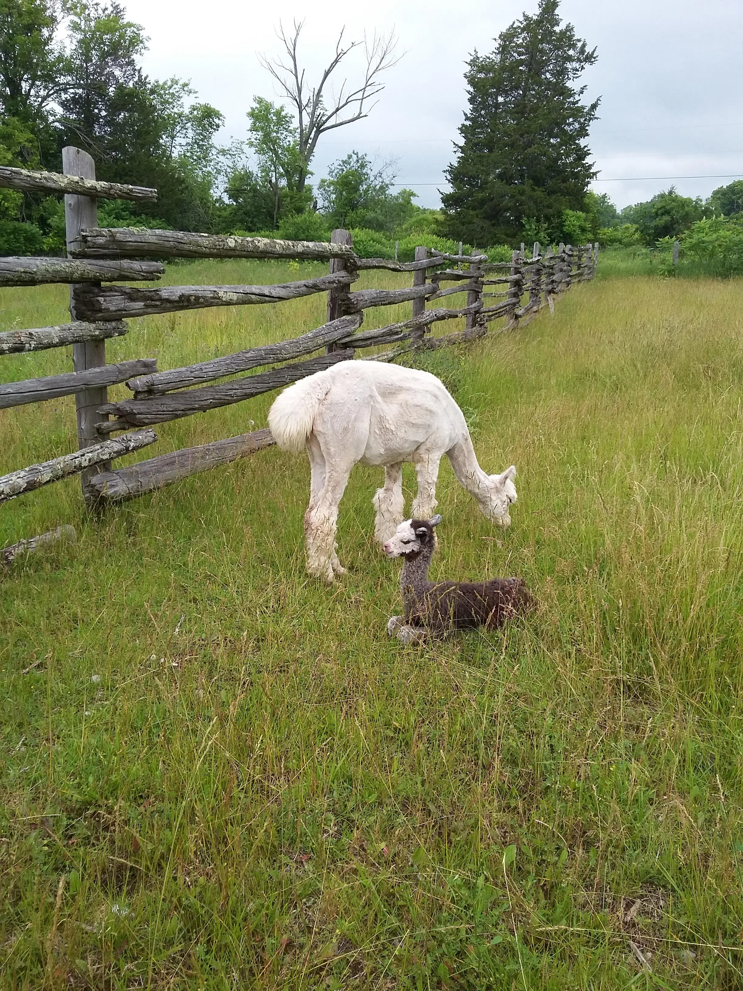 Ontario Farmland Trust protects another farm in PEC