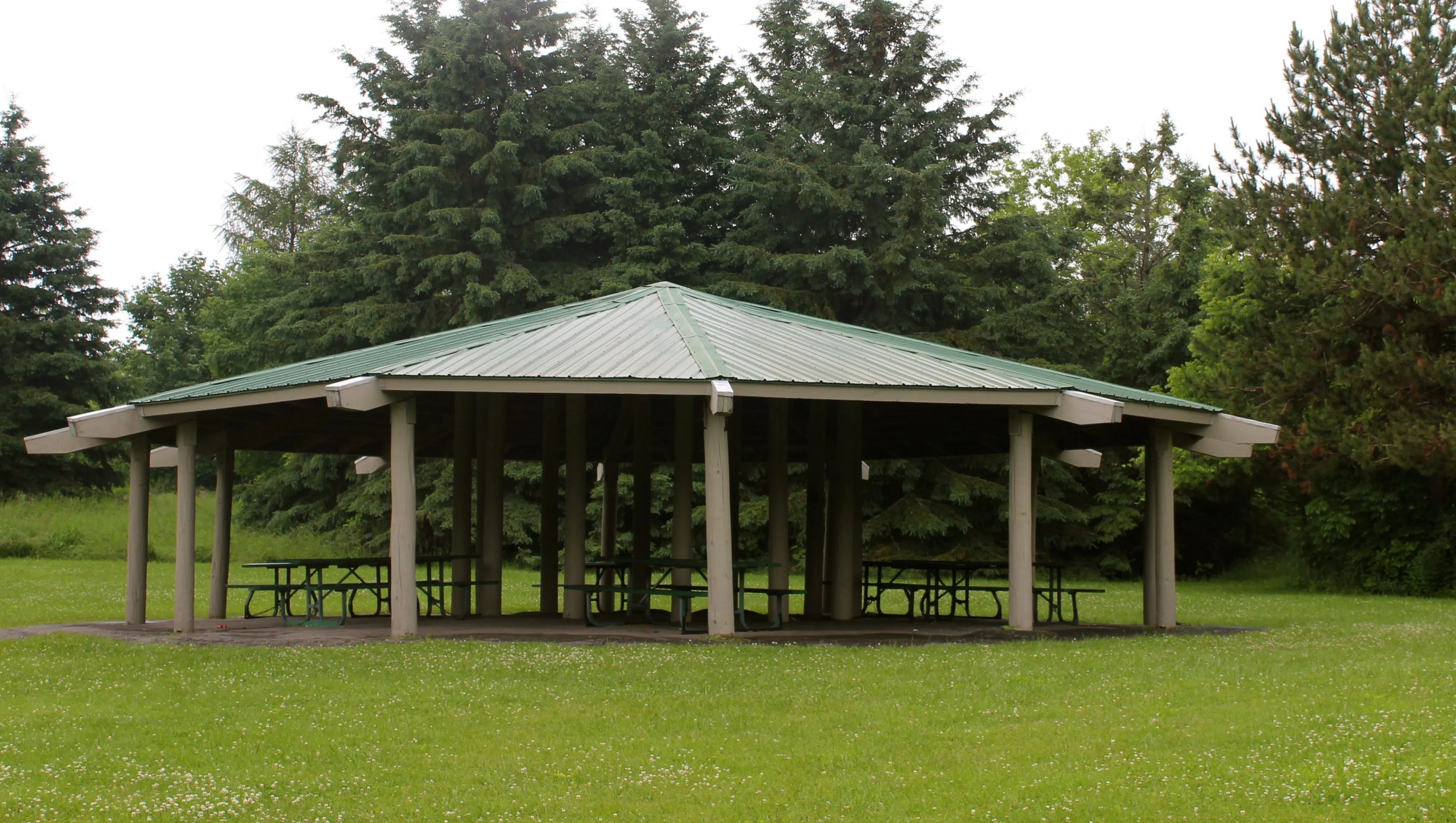 Demolition and rebuild plans of Procter Park Pavilion underway