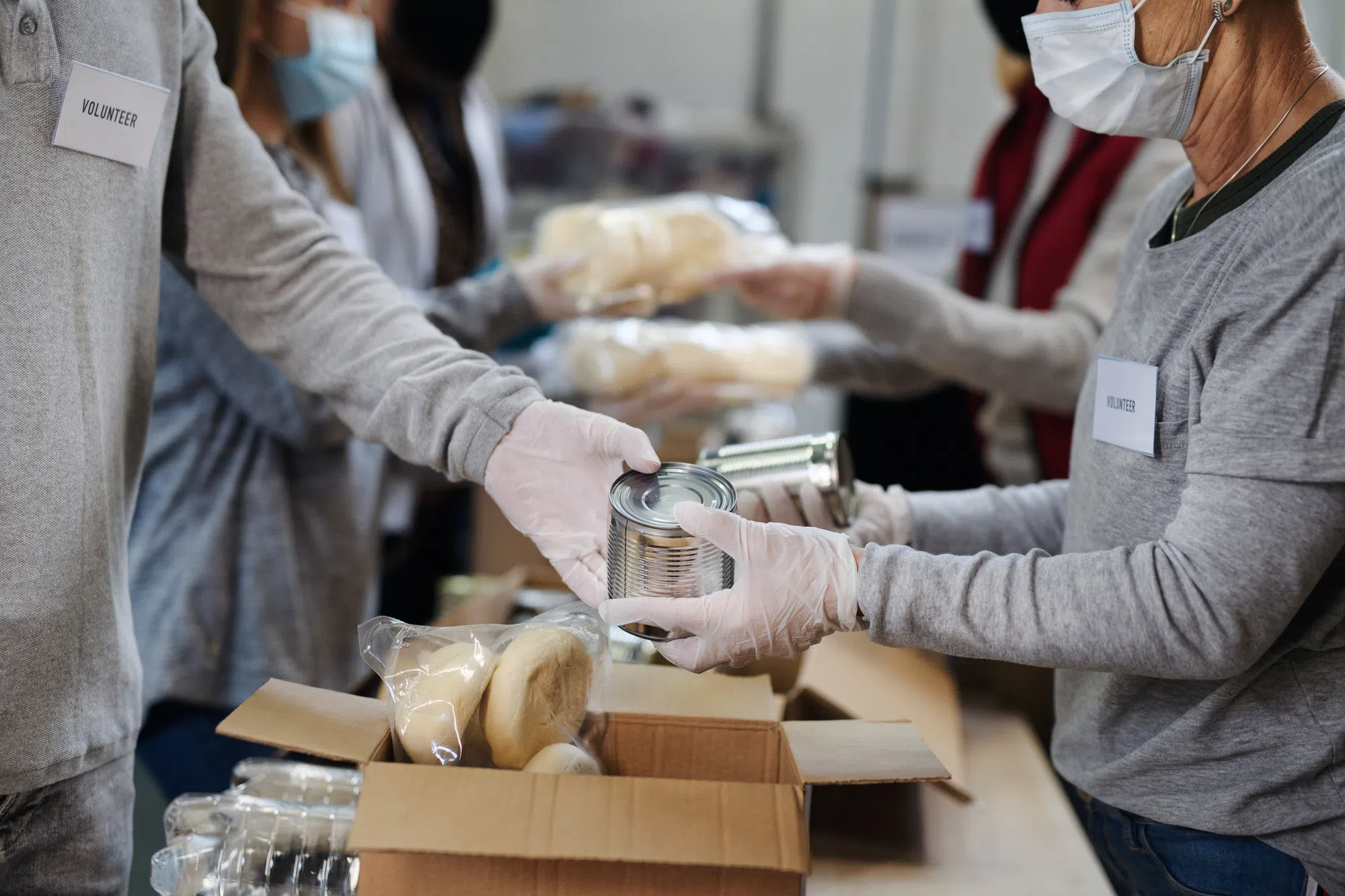 Gleaners Food Bank brings in a ton