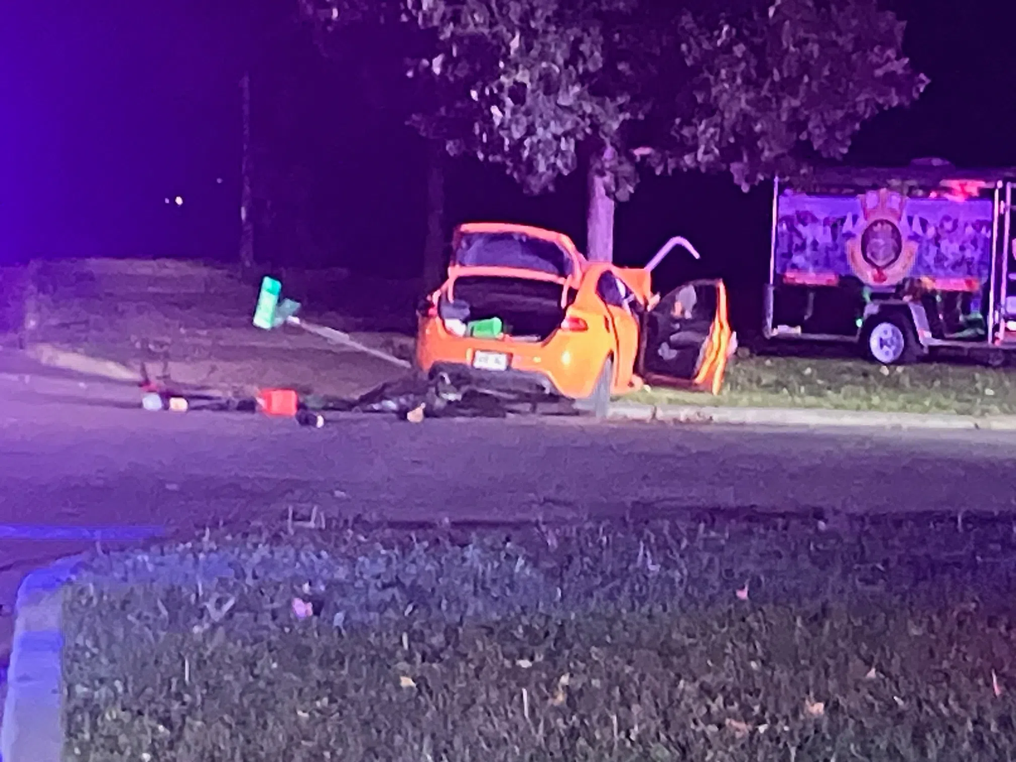 Car into tree