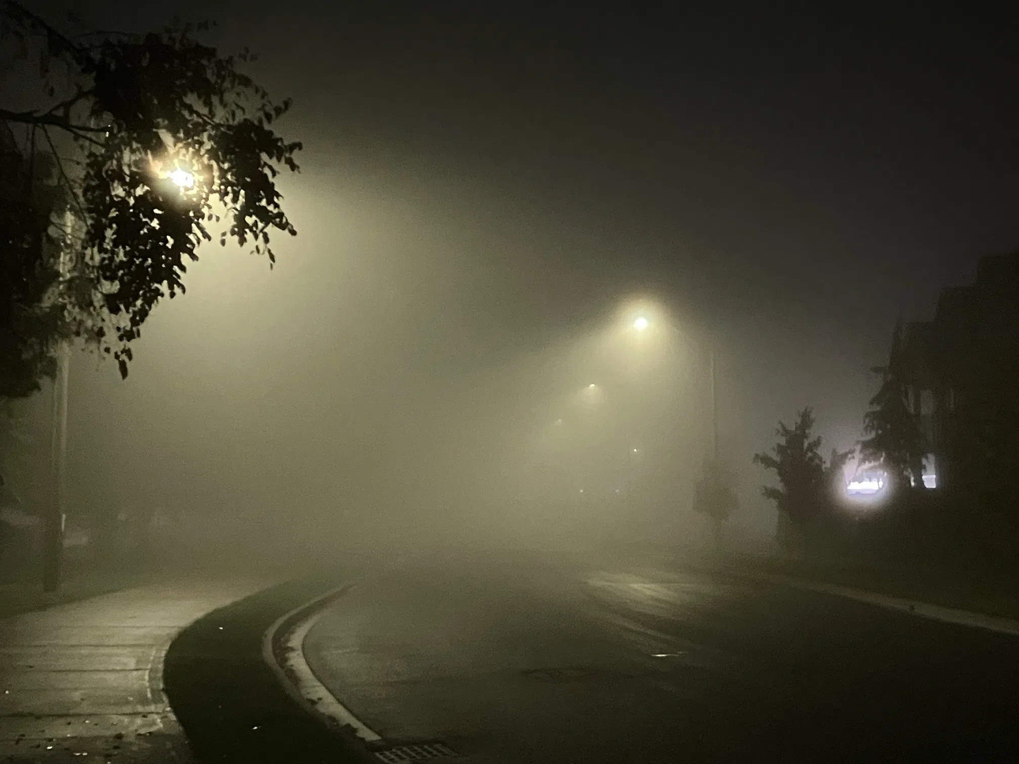 Foggy start expected to Wednesday