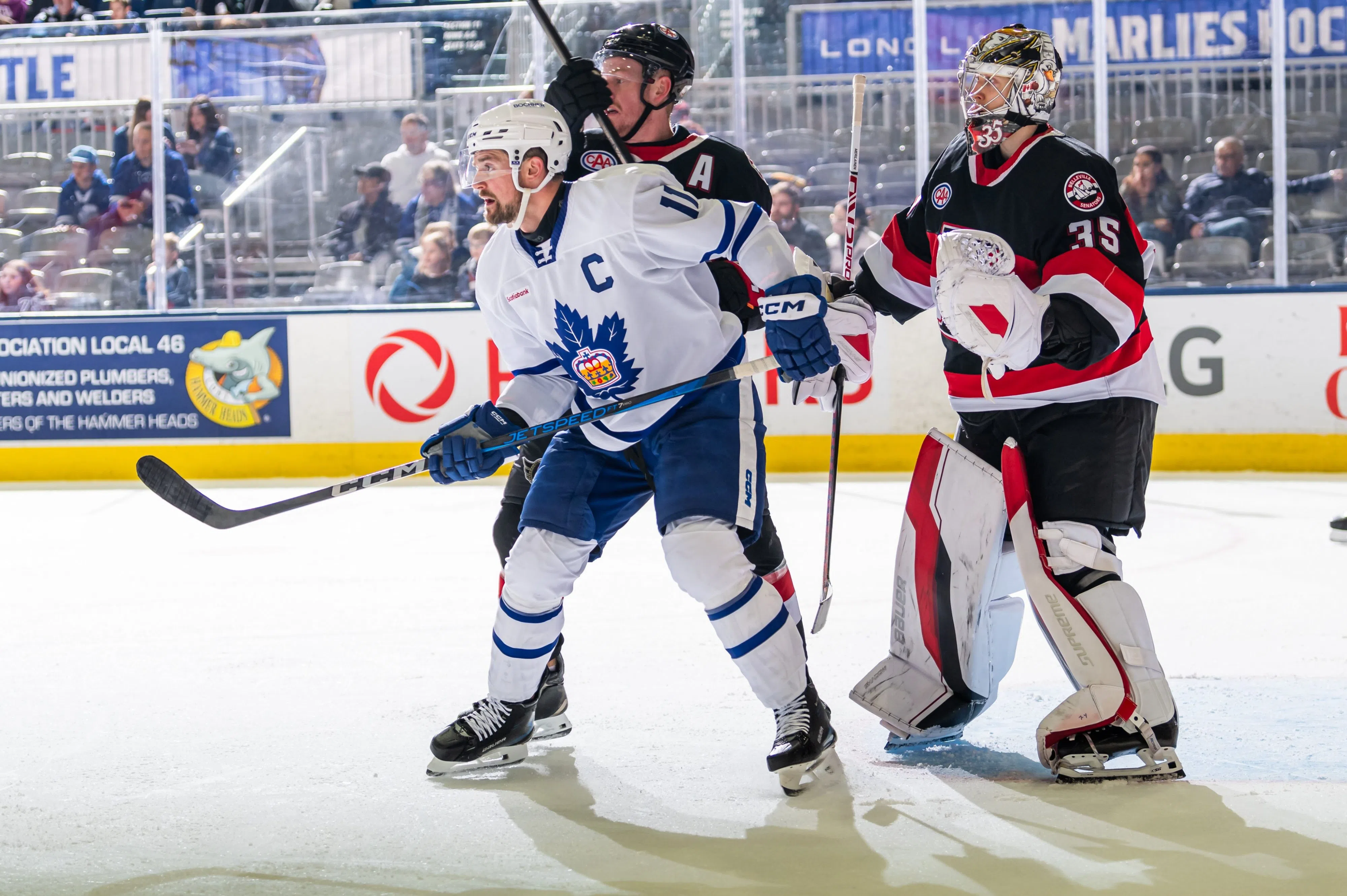 Marlies edge Senators