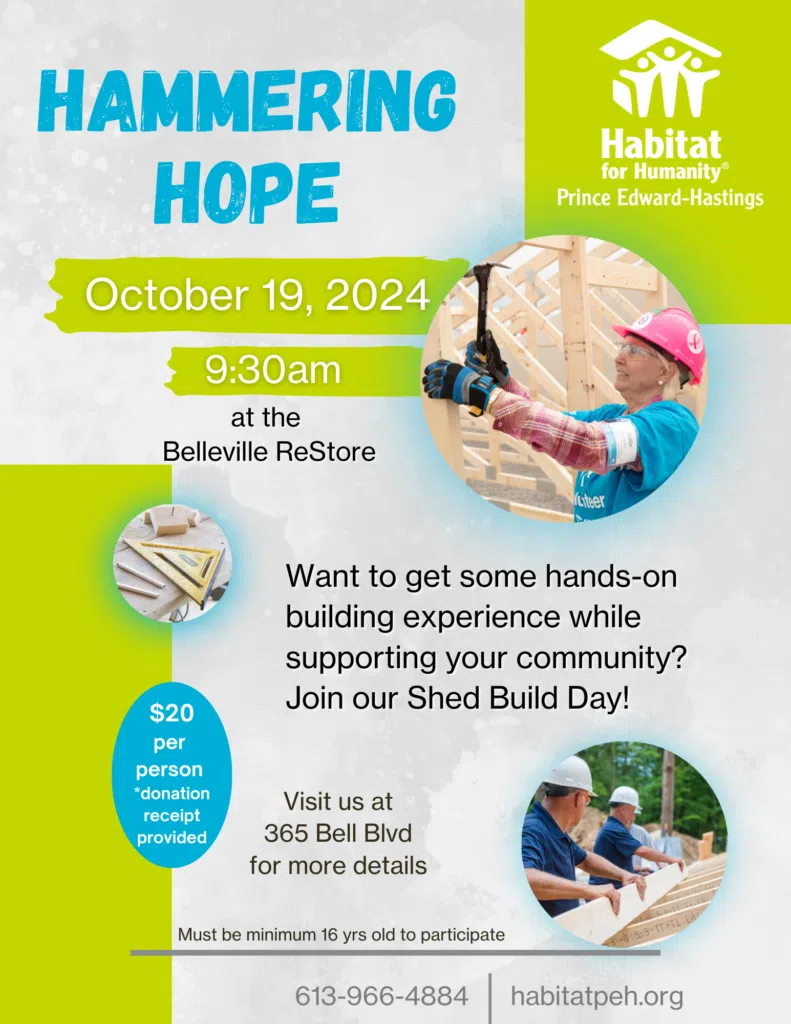 Hammering Hope shed build launch this Saturday