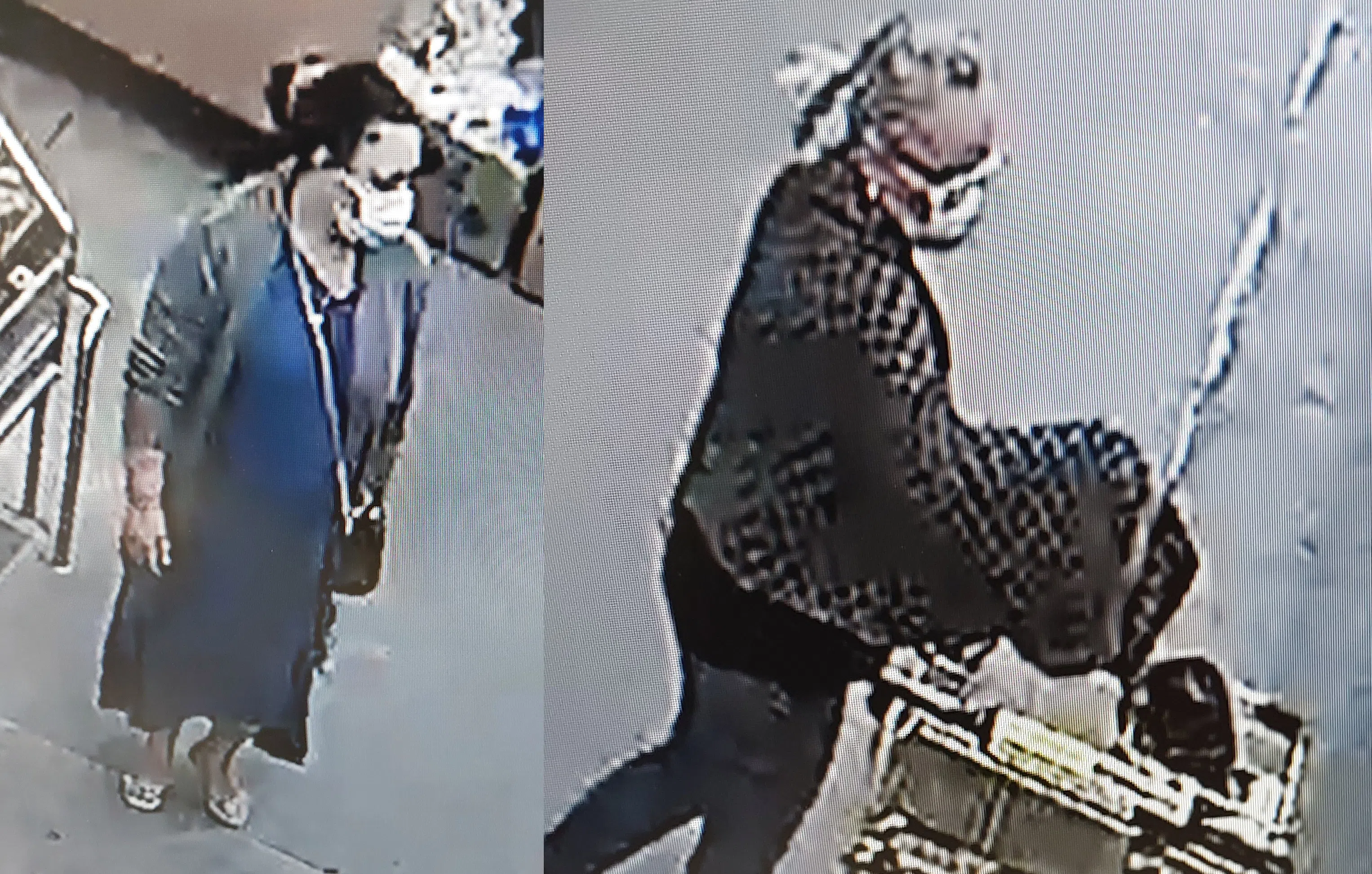 OPP looking for assistance in theft investigation in Brighton